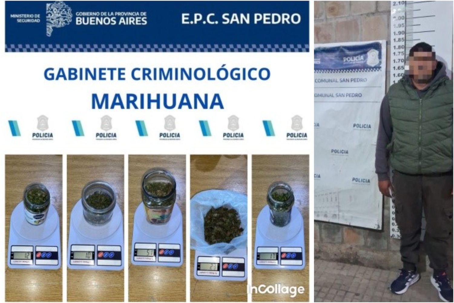 marihuana secuestrada alvarado