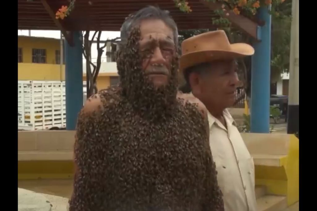 Hombre Abeja