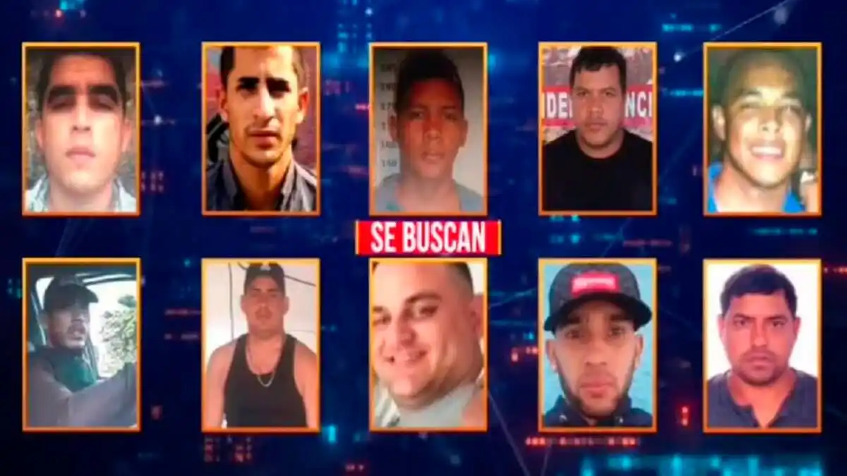 NIÑO GUERRERO, VAMPI, WILEXIS… estas son las 10 «joyitas» más buscadas en Venezuela (+Lista)