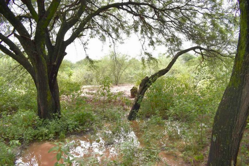 Encontraron el cuerpo de un hombre que era buscado por la policía