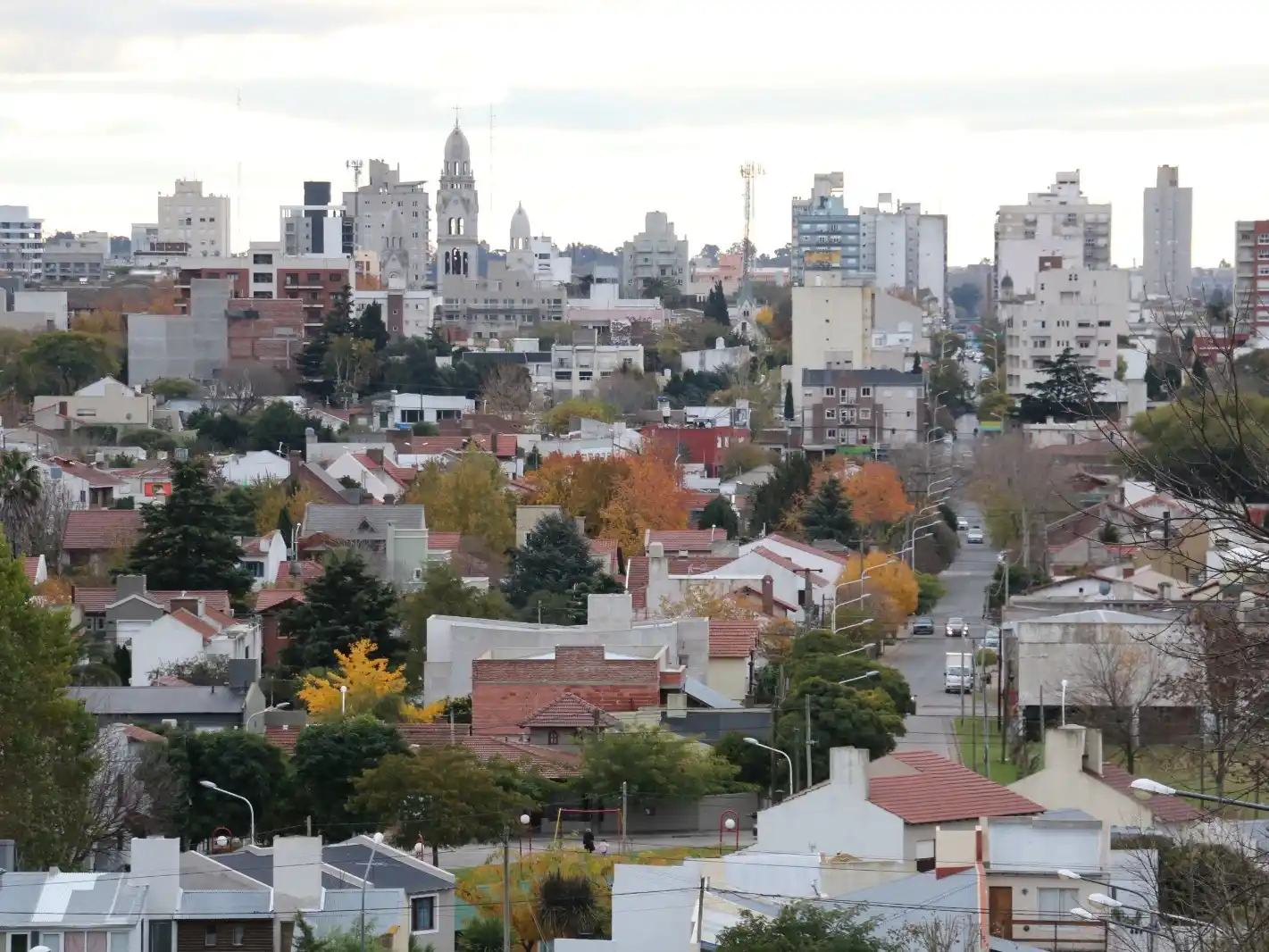 ¿Cuál es la actividad con mayor "Tasa de femenización" en Tandil?