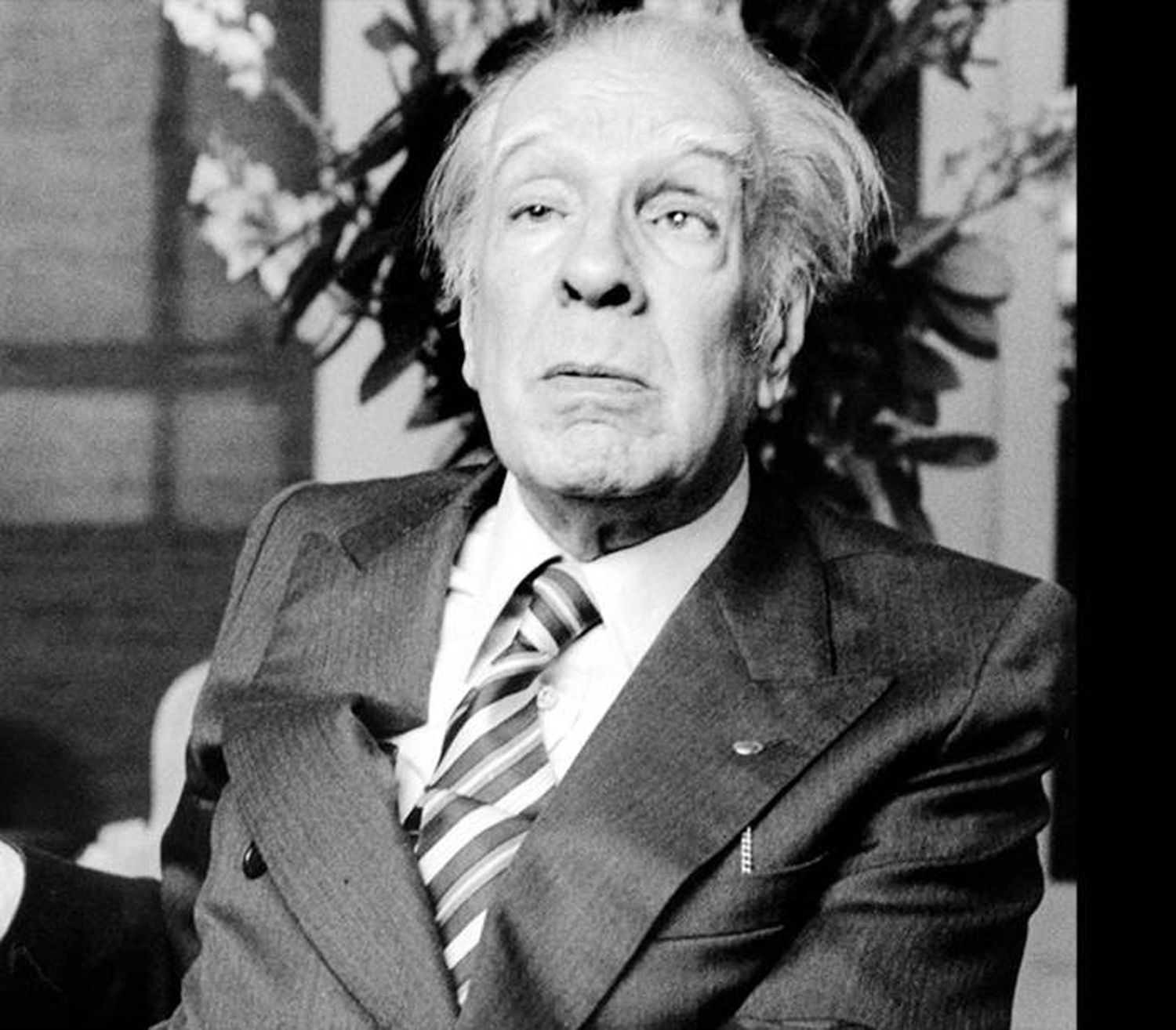 Borges y el biógrafo.  Borges crítico de cine