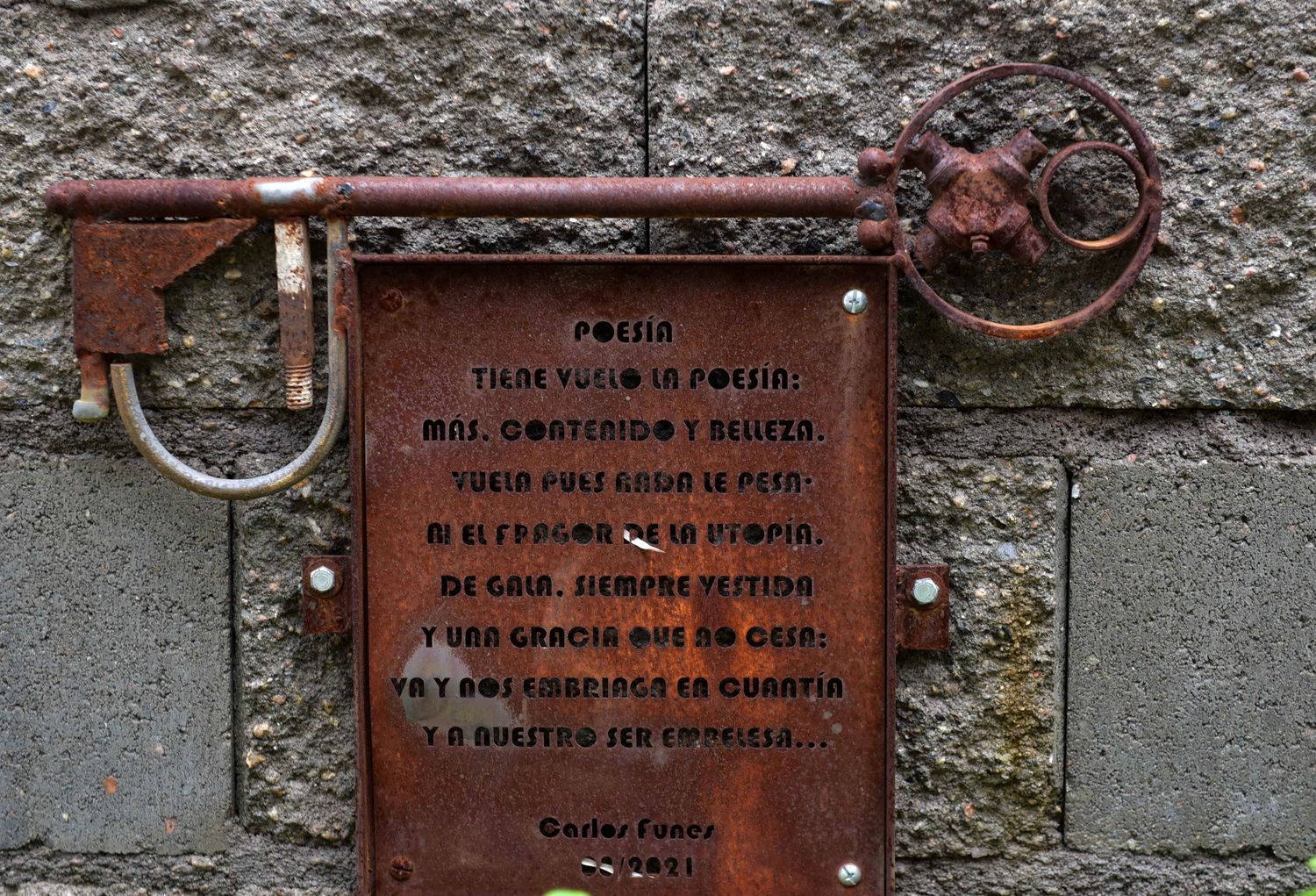 carlos funes