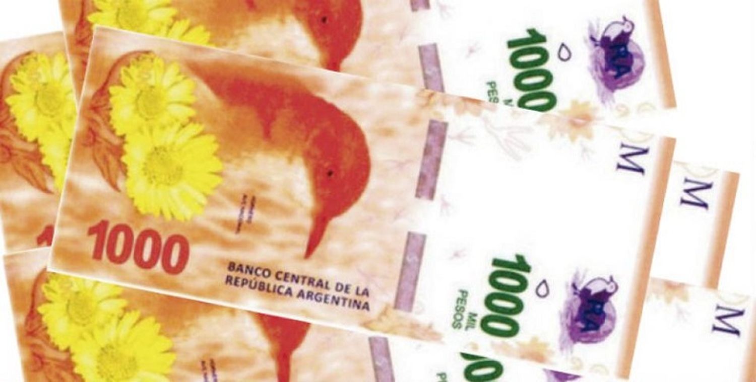 Se presentó el nuevo billete de $ 1000 con la imagen del hornero