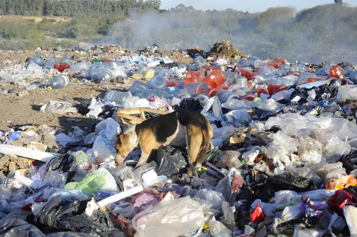 Basural