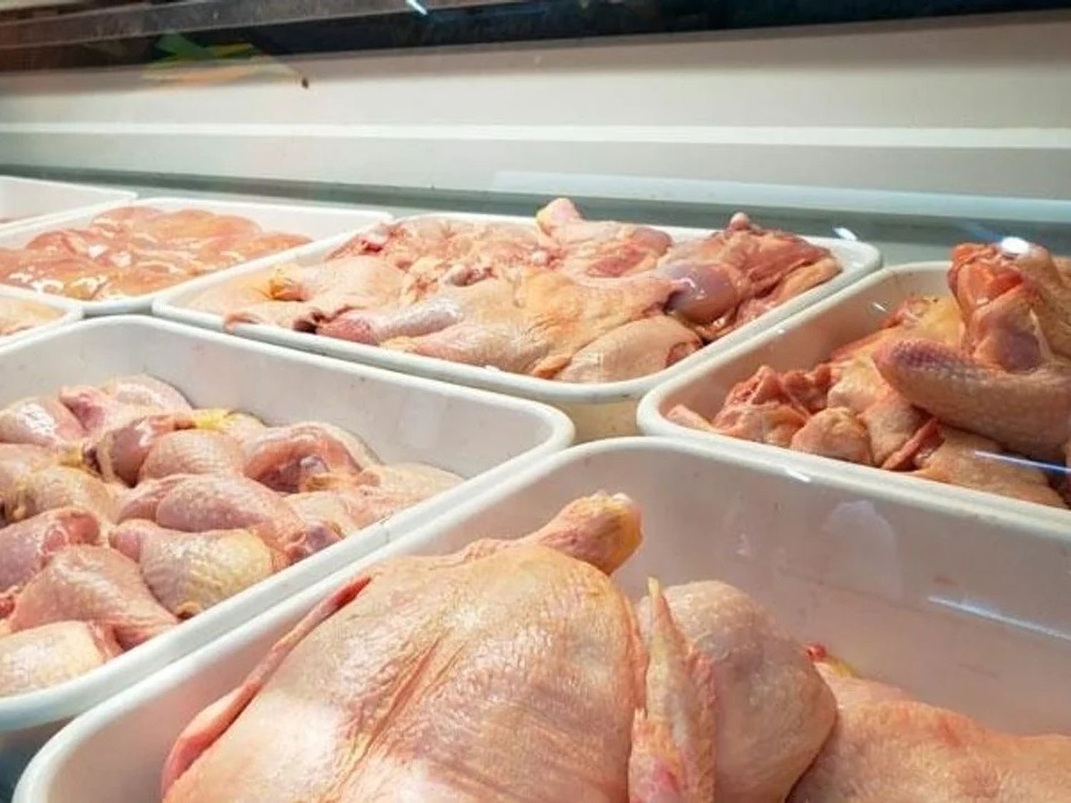 pollos carnicería