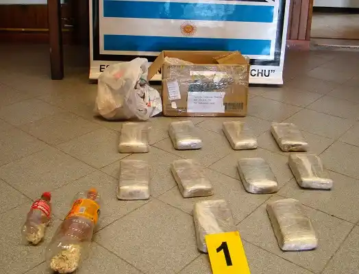La perra “Gyna” volvió a olfatear marihuana en la baulera de un micro