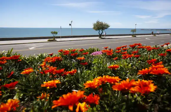 El calor gana terreno: 27 grados de máxima y viento del norte