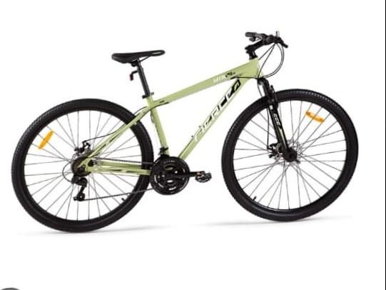Bicicleta robada