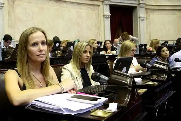 Presentaron un proyecto para otorgar licencias a víctimas de violencia de género