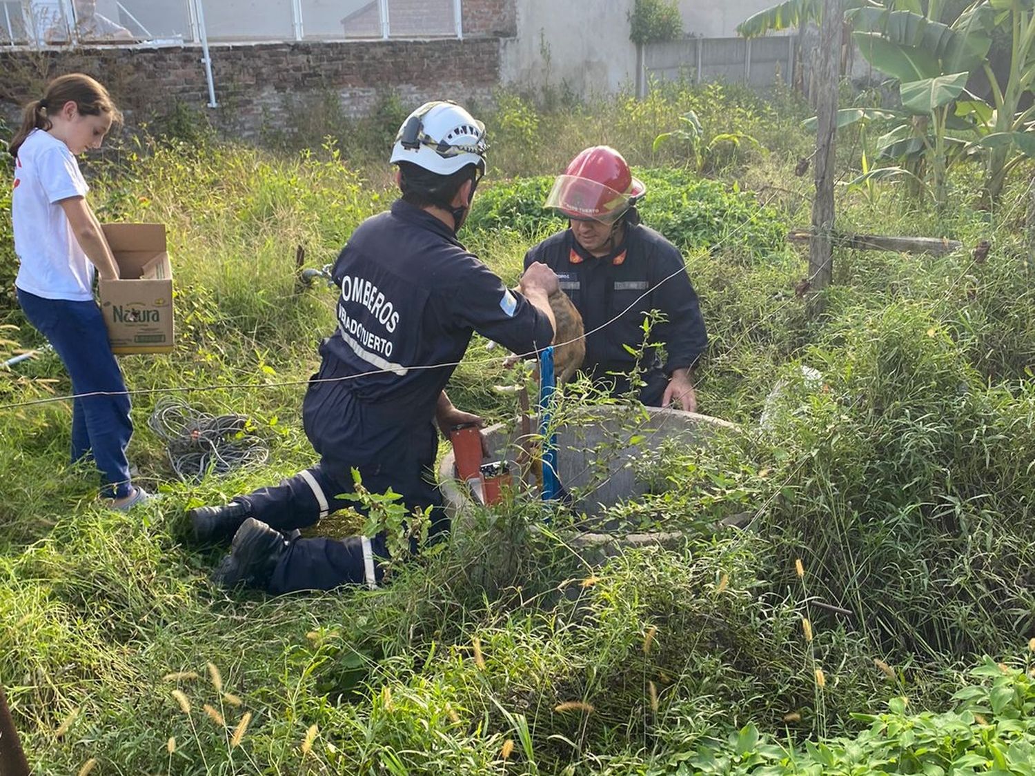 Bomberos venadenses rescataron a un gato que cayó en un pozo de siete metros