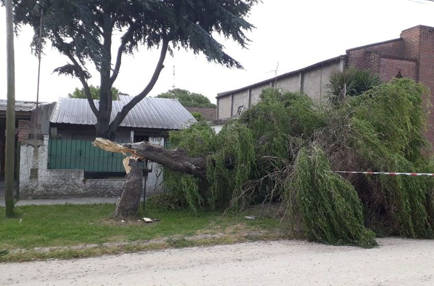 Vientos fuertes en Mar del Plata para este miércoles.