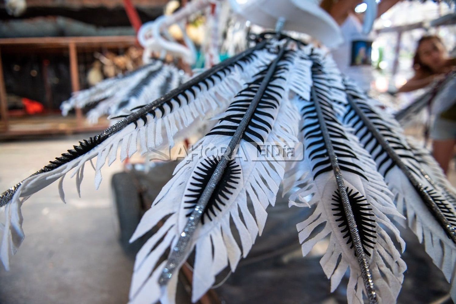 kamarr plumas - 3