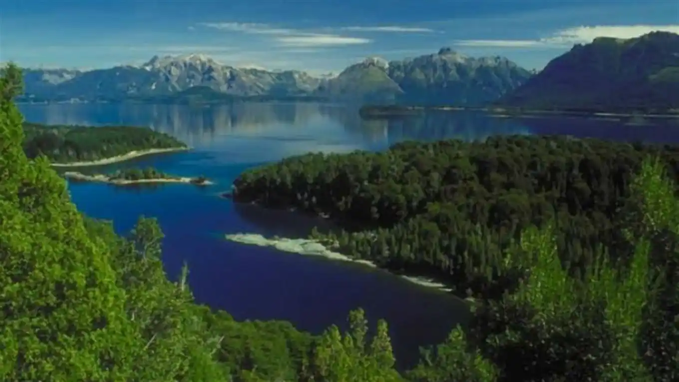 Bariloche plantará un árbol por cada chico que nace en la ciudad