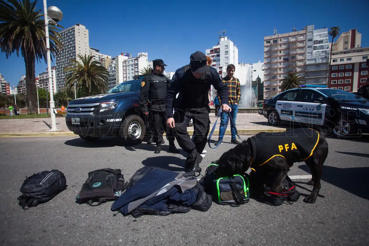 Presentaron el plan de trabajo de “Mar del Plata segura”