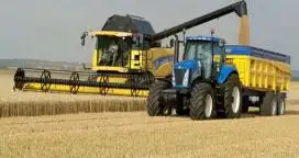 La producción de trigo cayó un 11 % en Entre Ríos