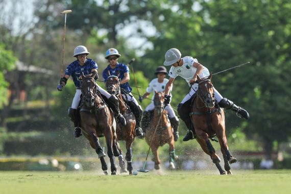 Tortugas tiene finalistas