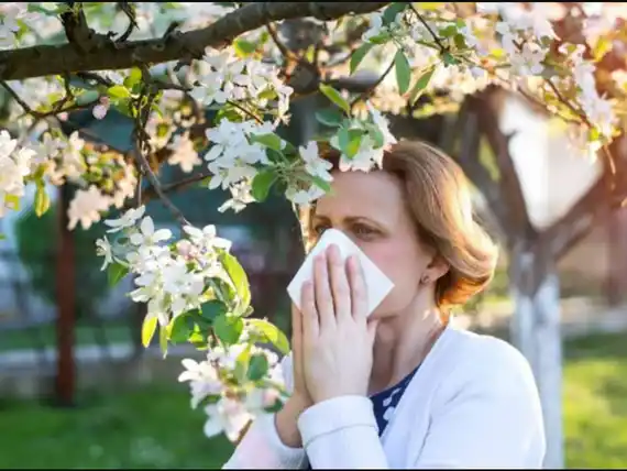 Alergia primaveral: 5 tips clave para reducir el polen