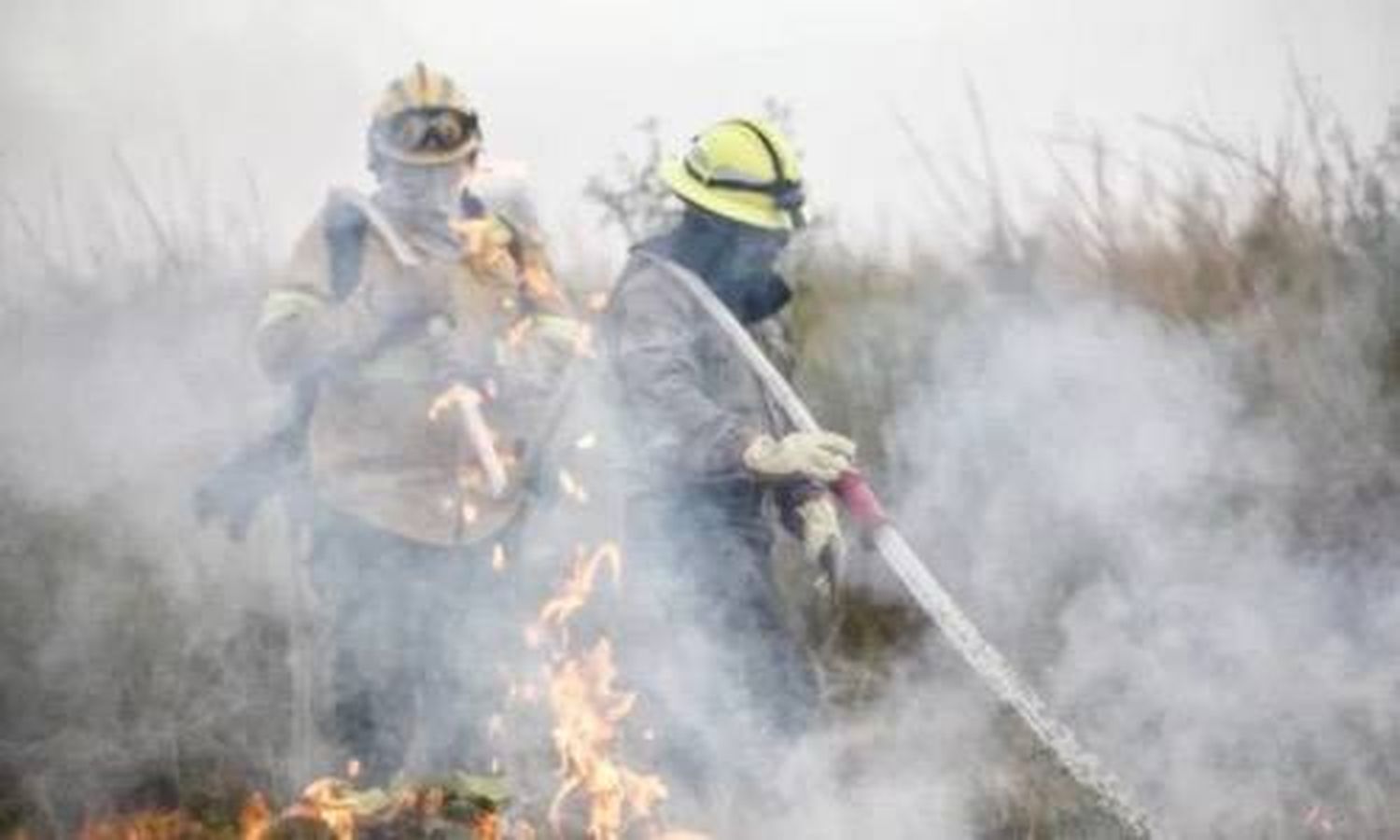 Ya hay quemadas más de 100.000 hectáreas