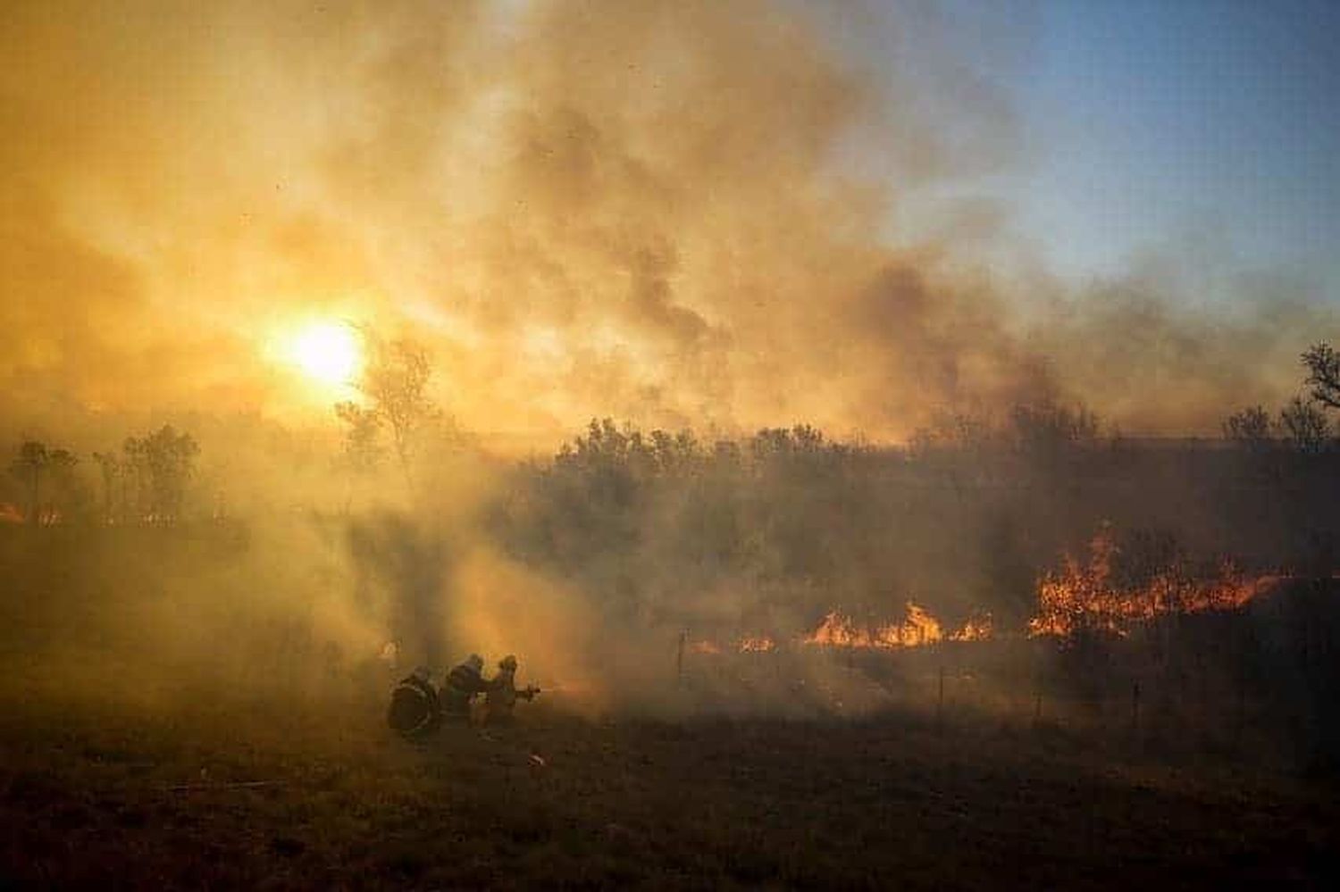 Liberaron a tres acusados de provocar incendios en las islas del Paraná