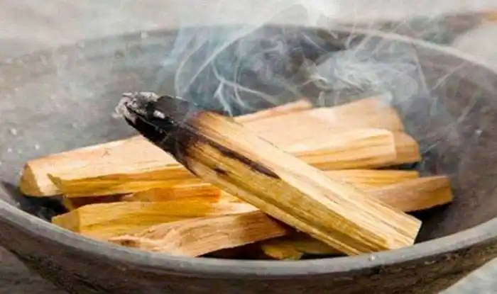 El palo santo no solo  huele bien, tiene historia