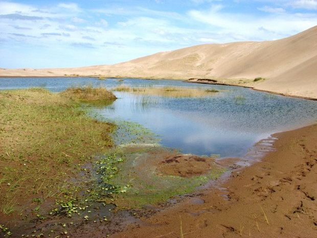 Buscan convertir en ley la protección de los humedales