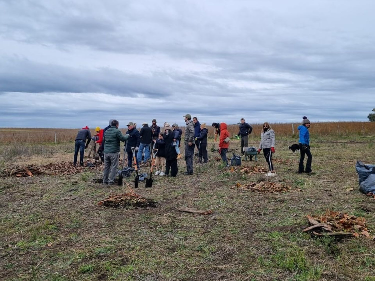 Plantación de árboles en comunidad: un impulso a la permacultura