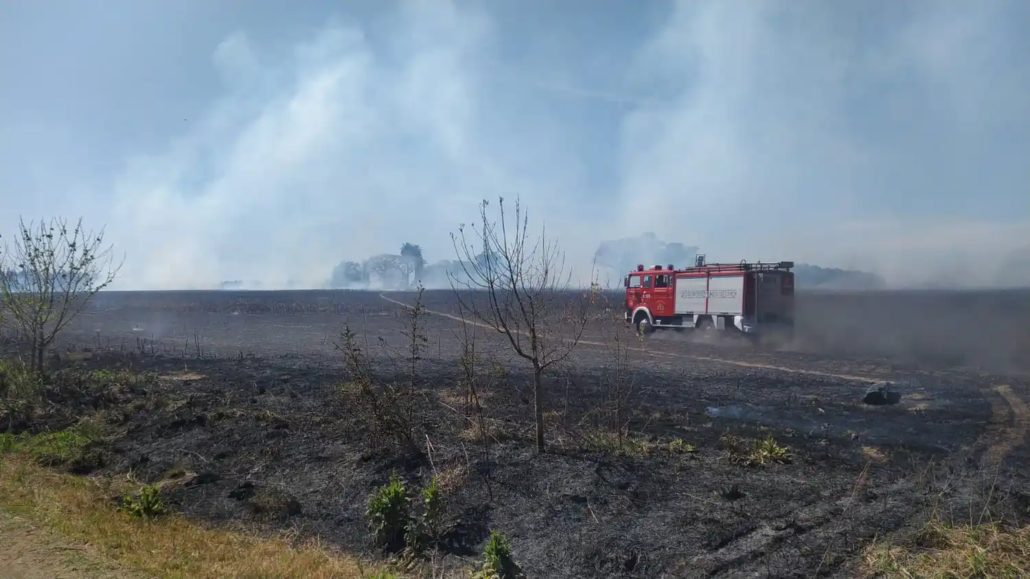 Apuntan a municipales de Río Tala por prender fuego para limpiar cañas: se descontroló y afectó campos vecinos