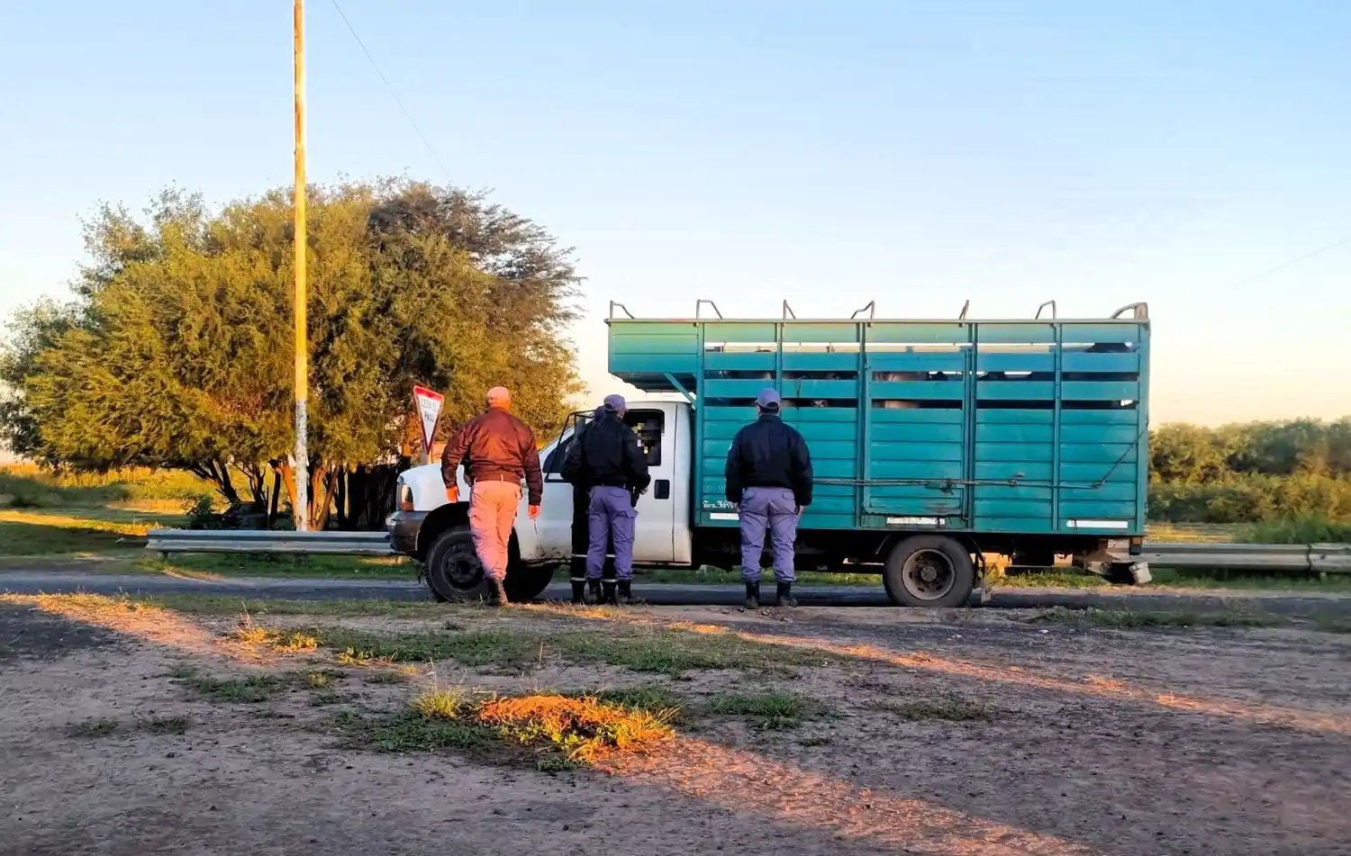 Secuestraron un camión que transportaba ganado sin la habilitación de Senasa