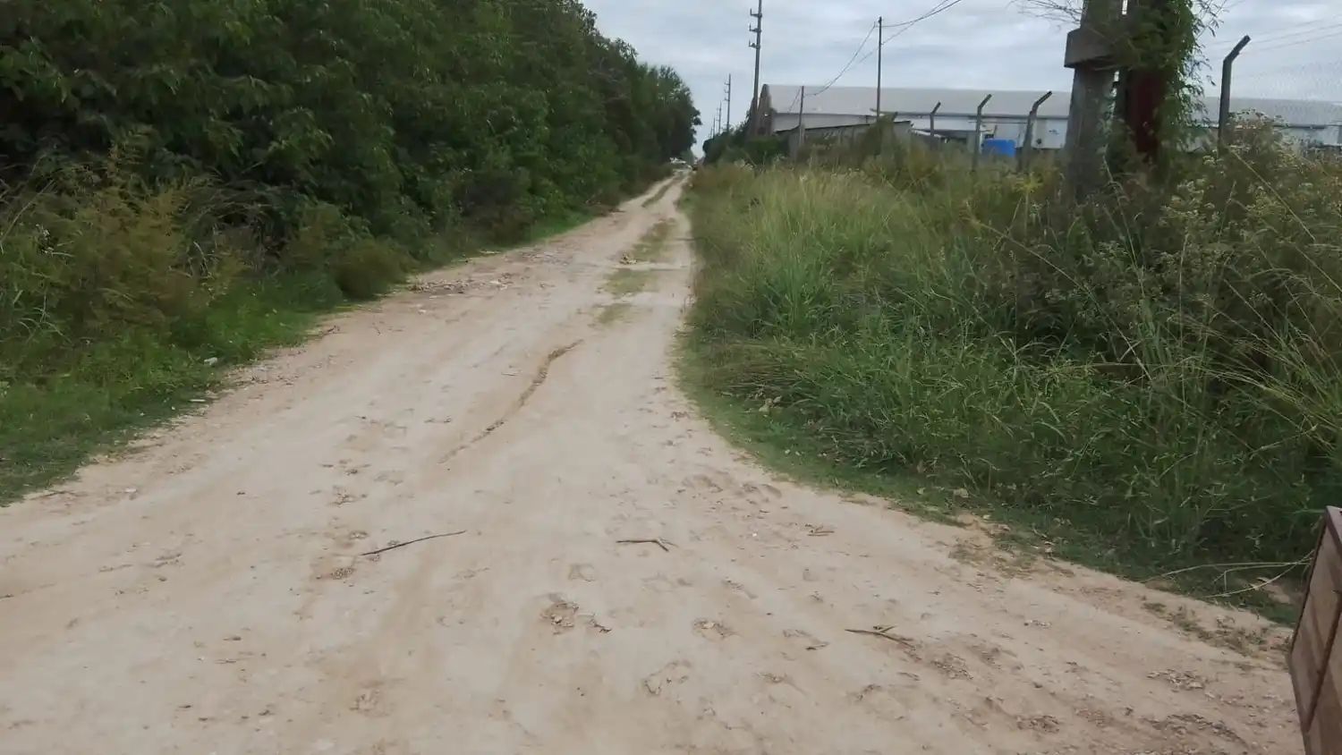 Pastos altos: “Es un peligro de noche”