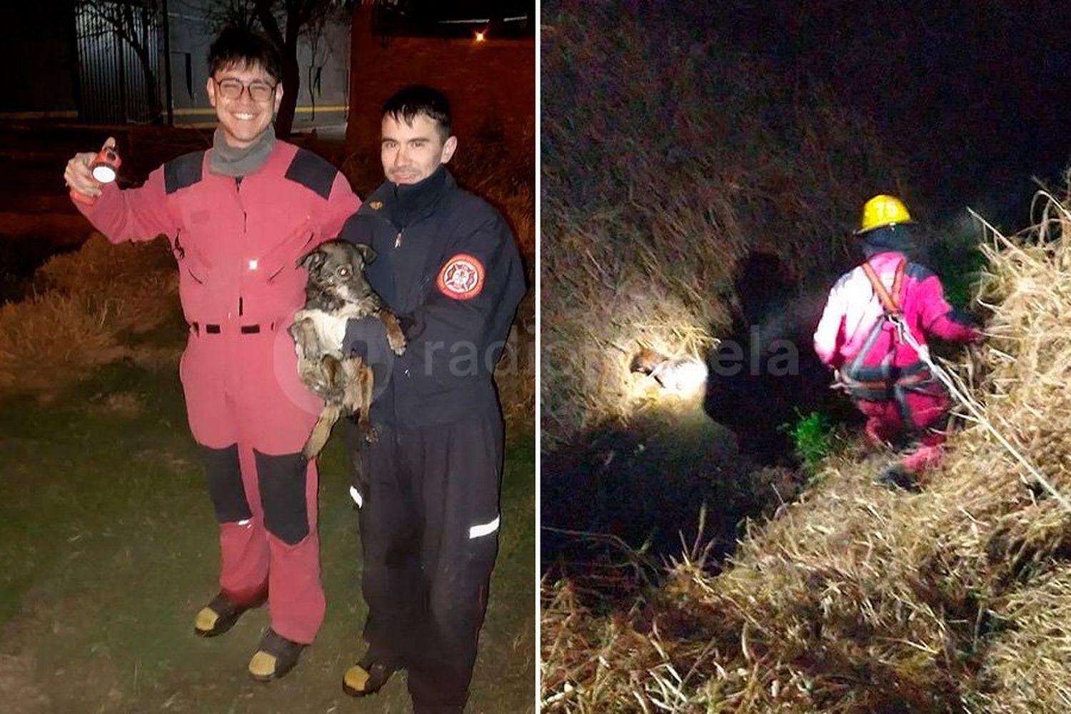 FOTOS | Bomberos Voluntarios le salvaron la vida a un perrito que se cayó en un canal de agua