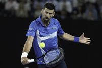 Djokovic se solidarizó con Federico Gómez