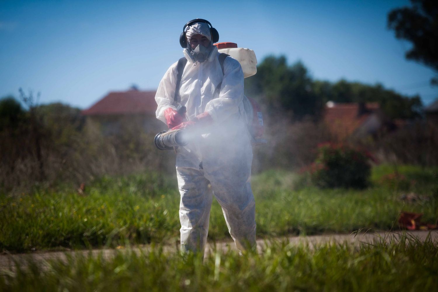 Aseguran que la invasión de mosquitos se terminará en "10 o 15 días"