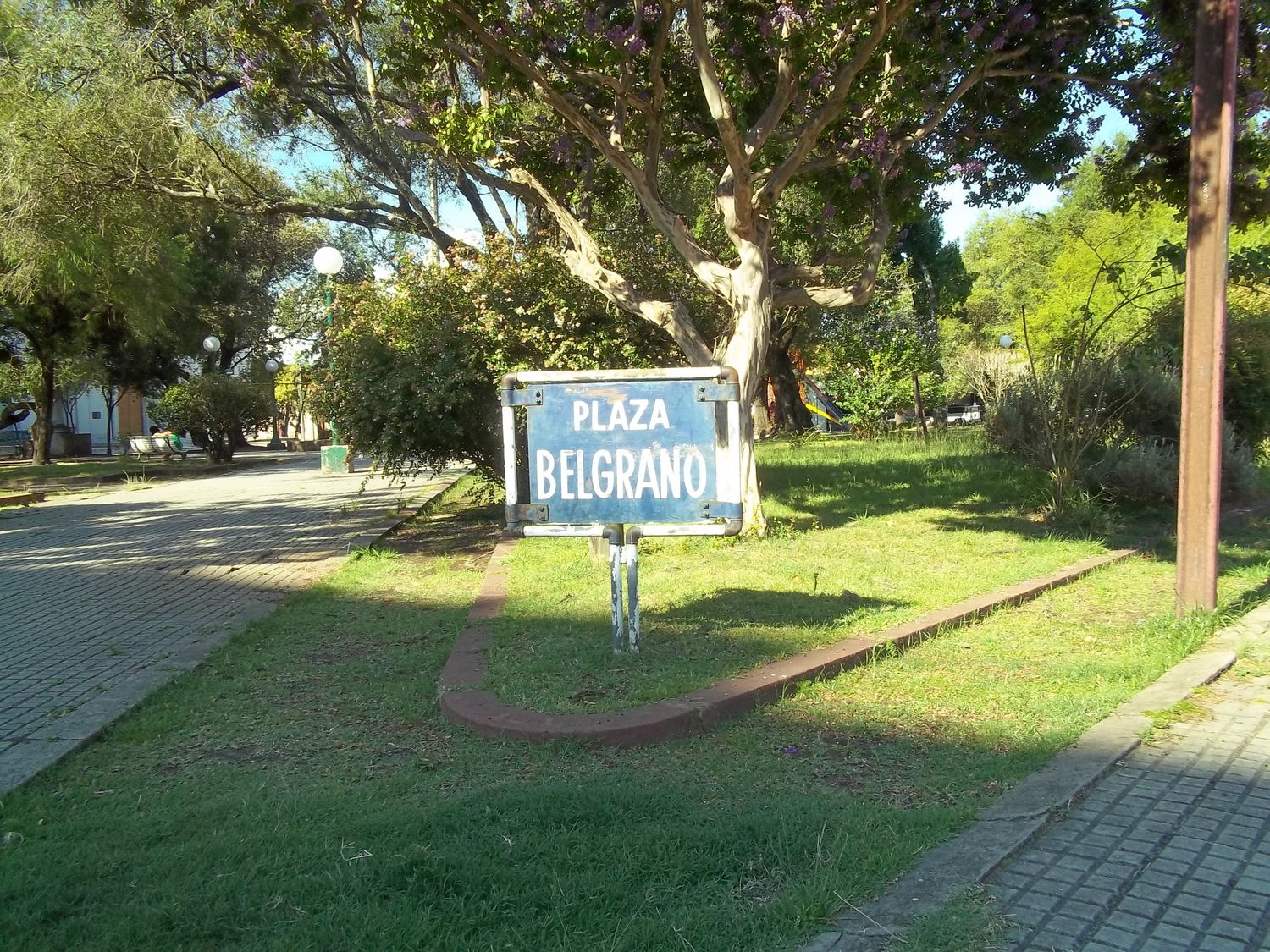 La plaza de los árboles autóctonos