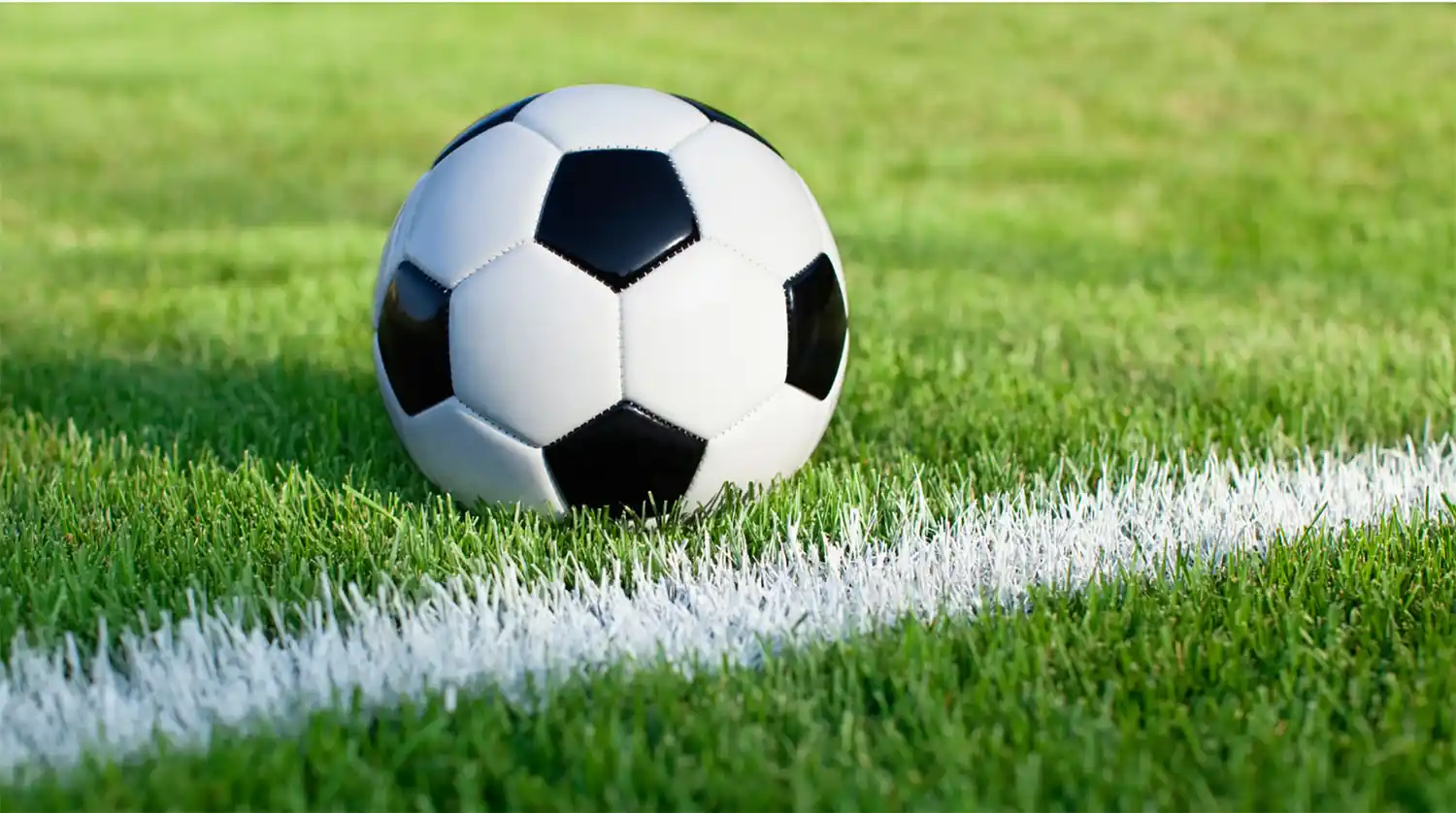 Sin fútbol, los campos juego están quedando impecables