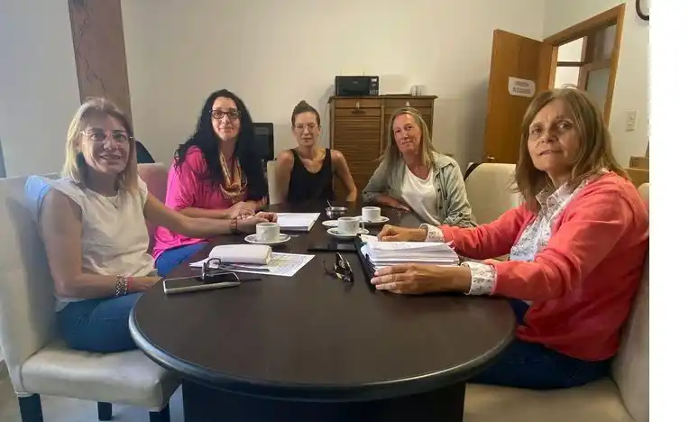 Análisis. Y diagnóstico de situación en el vecino distrito sobre un Programa Joven