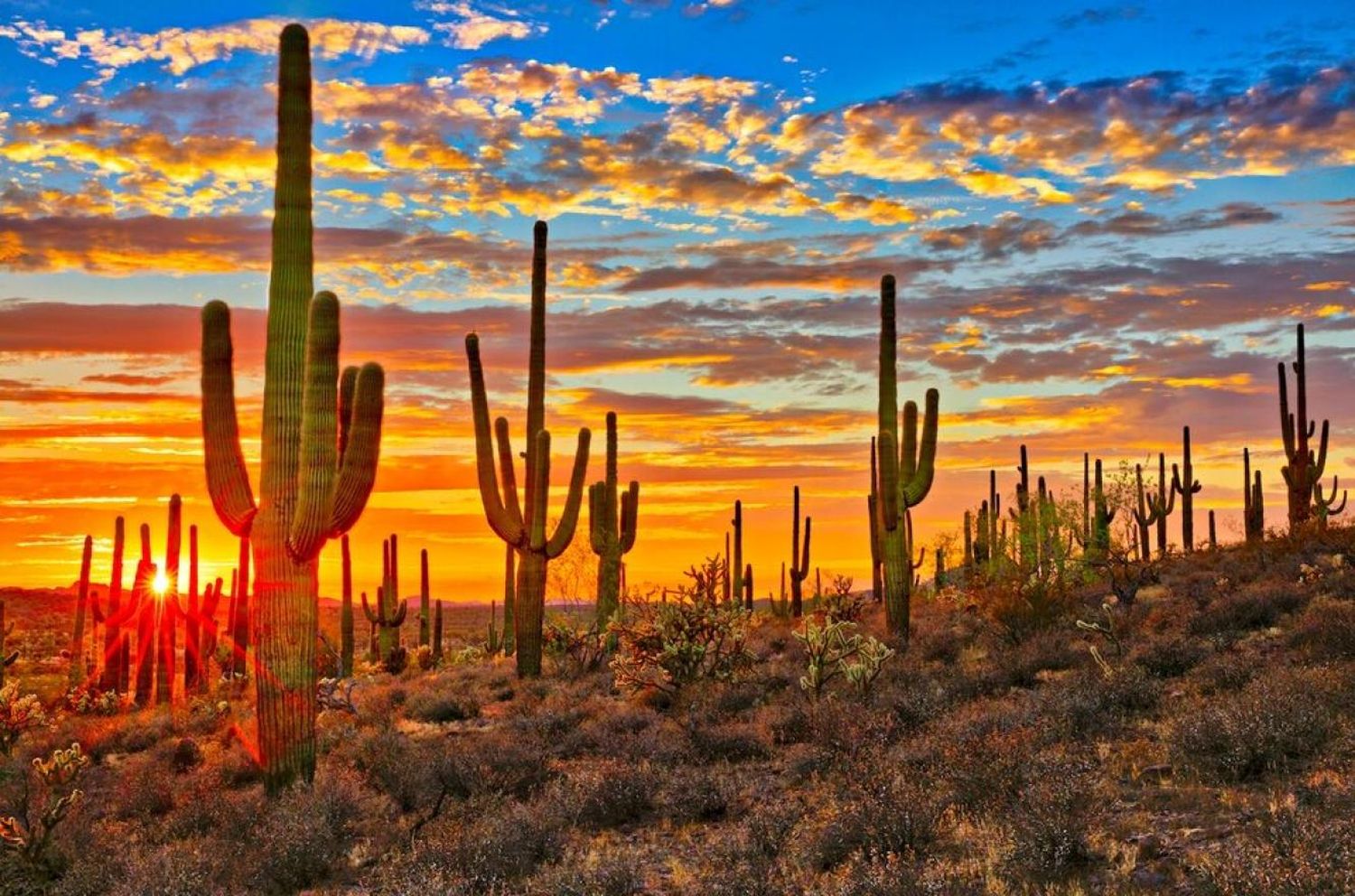 Una región de México superó los 80 grados, según la NASA