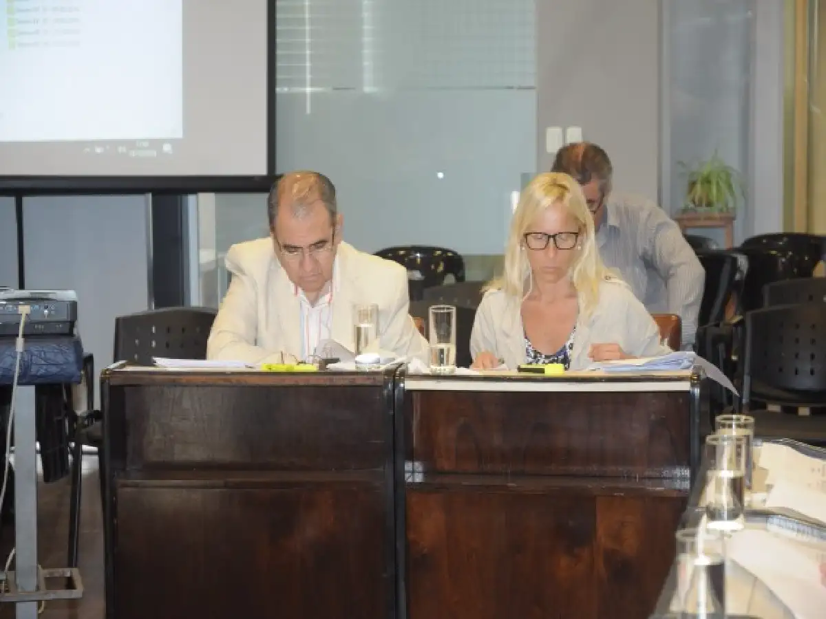 Roffé sobre la Tarifaria 2017: "Se exceden con los aumentos"