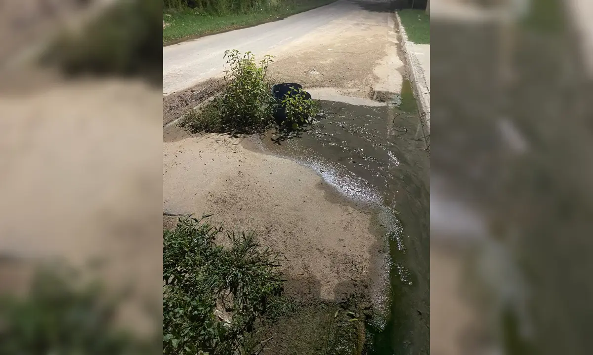 Pérdida de agua en Calle 56: ''Es una vergüenza''