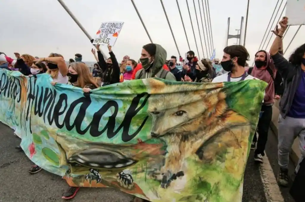 Multisectorial: dos cortes de ruta contra los incendios en las islas