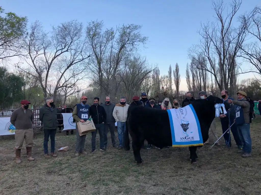  La mejor genética del sur se mostró en la 8ª Exposición Nacional Patagónica