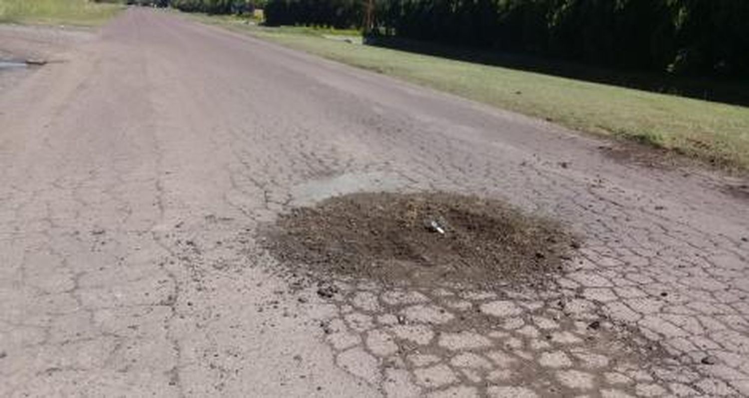 Reporte ciudadano