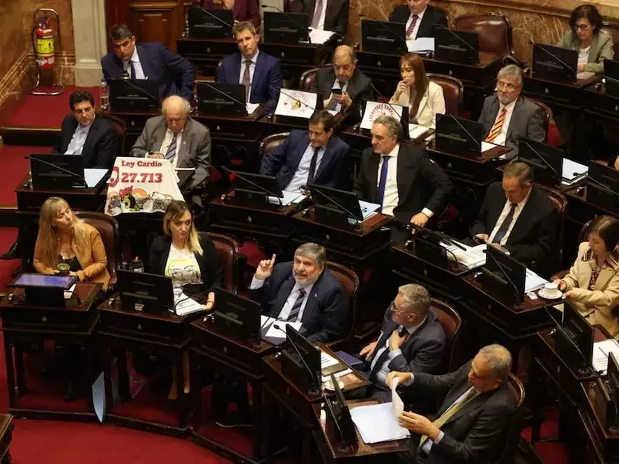 El senado durante el debate por las universidades y la pediatría.