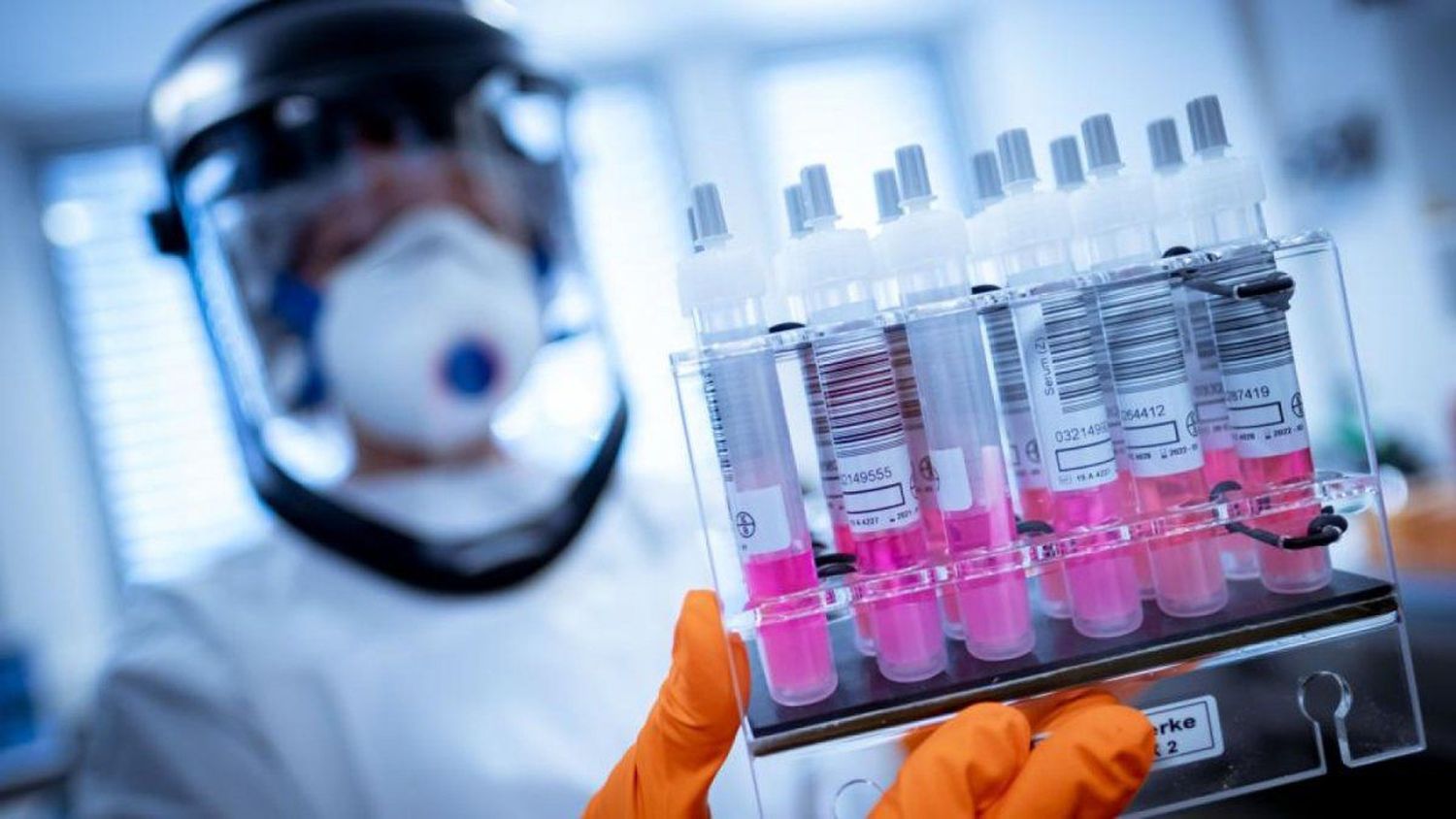 Dossier "La pandemia en la Provincia": Sección por sección, los distritos más golpeados por el coronavirus
