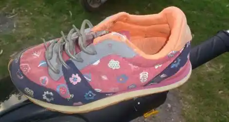 Encontraron zapatillita