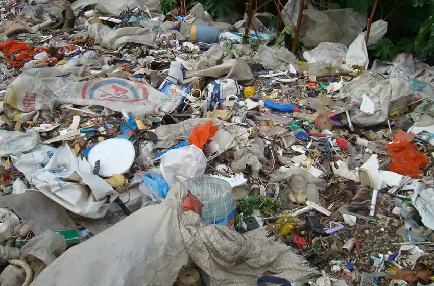 Salud Pública recuerda medidas para prevenir la leptospirosis