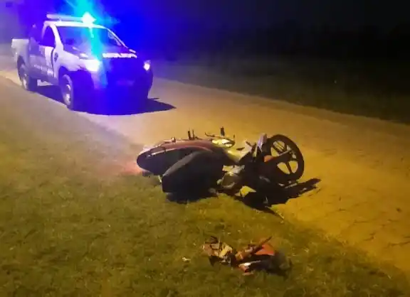 Giménez dio de lleno contra el caballo que estaba sobre la acera en Lucio Mansilla al 7000.