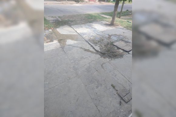 Las Provincias y Aulí: todo tapado