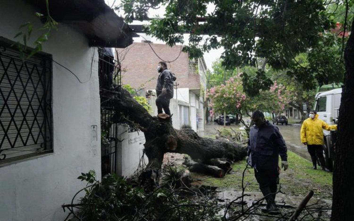 Cayó un árbol sobre una casa y dejó atrapada a una pareja de adultos mayores