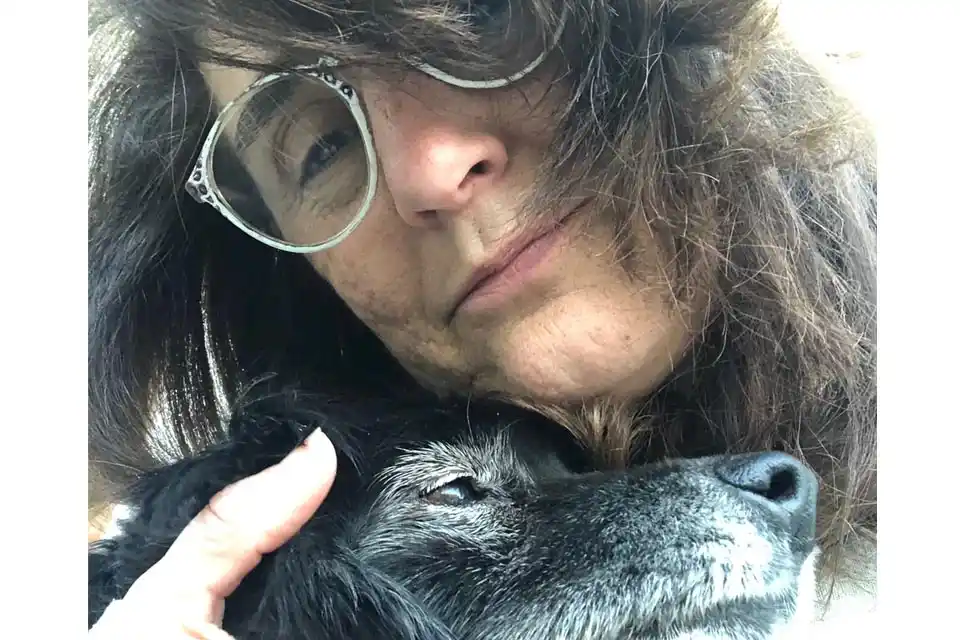 OKIDOGGYPETS: accesorios de calidad para mascotas